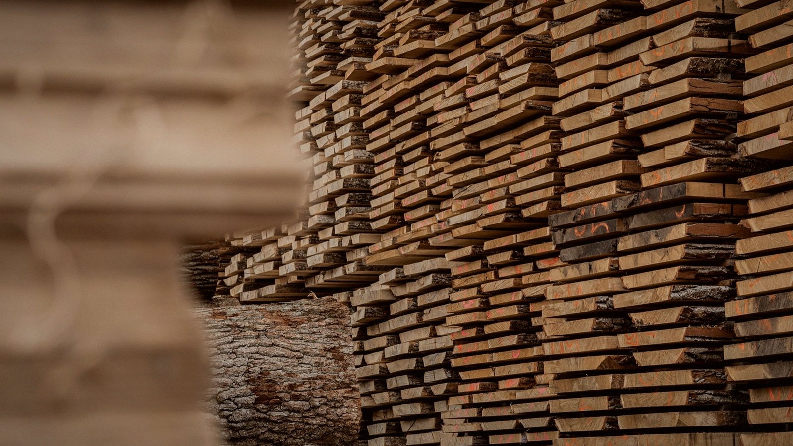 Sawn oak top layers stacked on sticks to dry