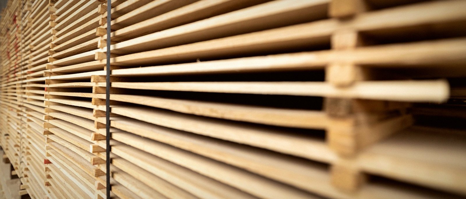 Long planed oak boards resting on spacers at the mill, in shallow focus