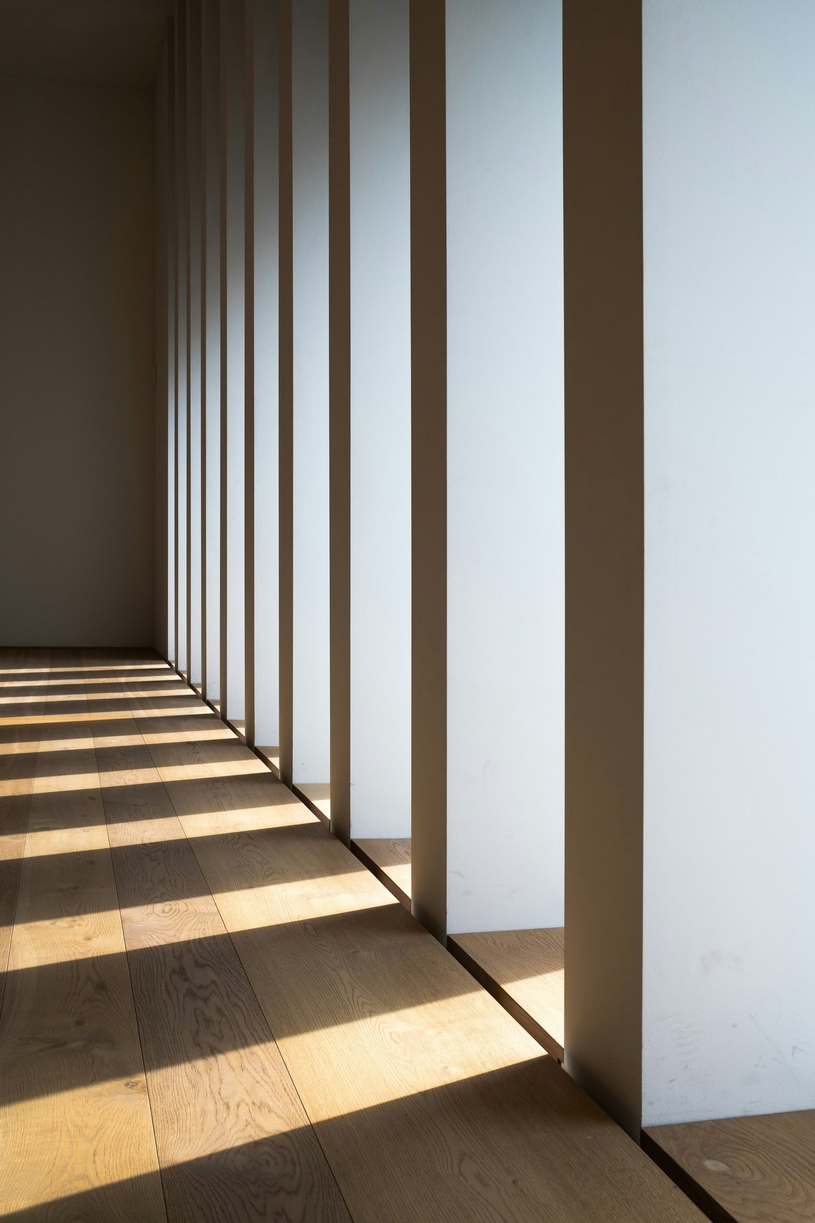 Daylight across a wood floor beside tall windows